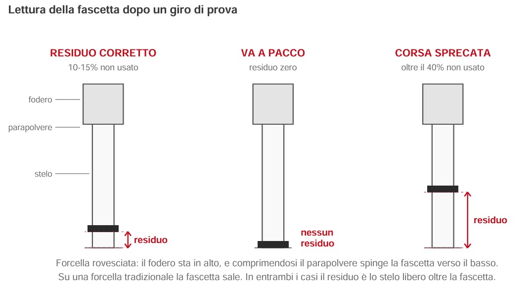 descrizione dell’immagine